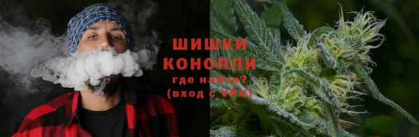 стаф Михайловск