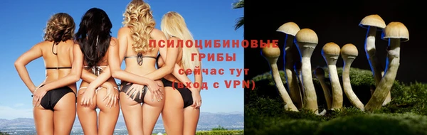 прущая мука Михайлов