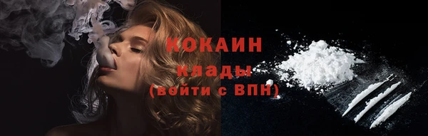 стаф Михайловск