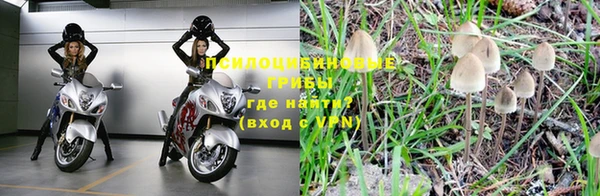 стафф Алзамай