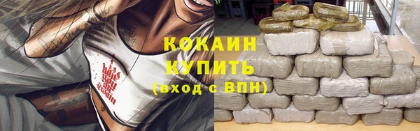 стаф Михайловск
