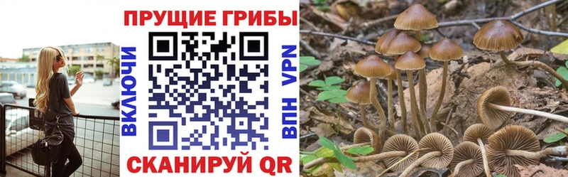 Псилоцибиновые грибы мухоморы  мориарти наркотические препараты  Емва  цена наркотик 